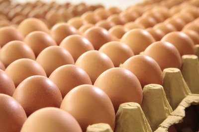 丽江鸡蛋检测价格,鸡蛋检测机构,鸡蛋检测项目,鸡蛋常规检测